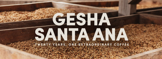 Twenty Years, One Extraordinary Coffee: Gesha Santa Ana