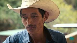 Origin Trip: Finca El Socorro