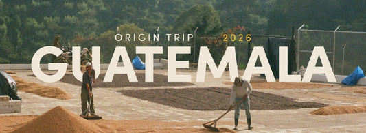 Guatemala Origin Trip 2026