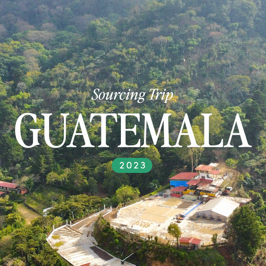 Guatemala Origin Trip - Recap