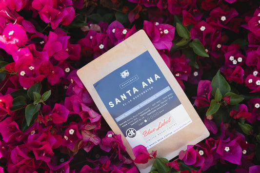 FOUR New SO offerings from around the World!