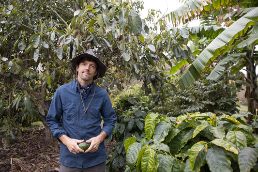 Mraz Family Farms - California Geisha