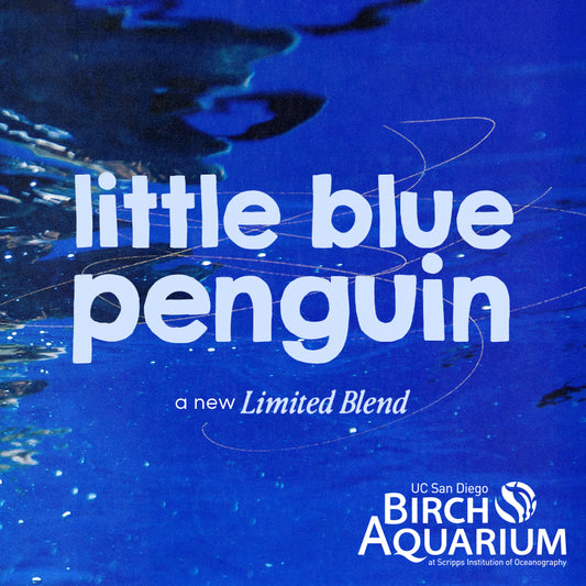 Little Blue Penguin Blend - Coffee for a Cause