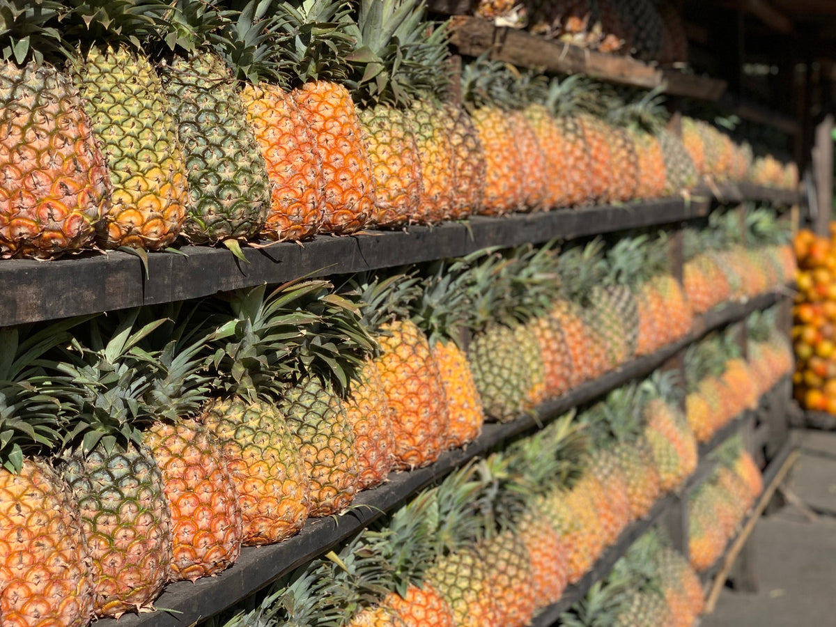 Pineapple Process
