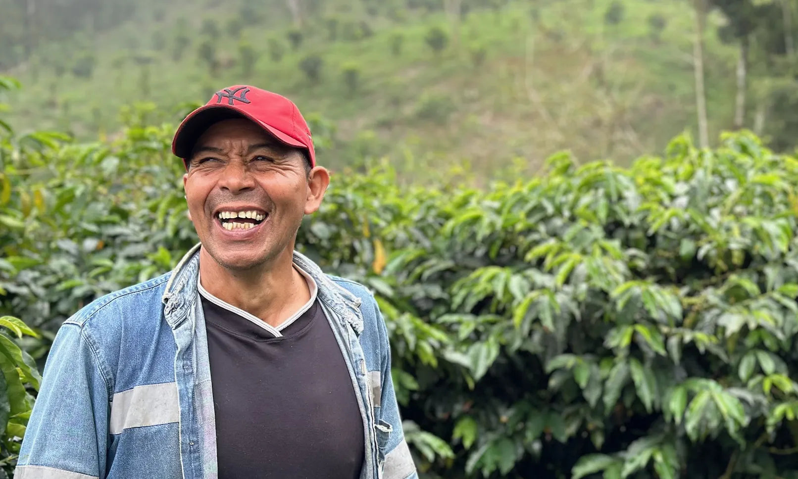 Finca La Carolina