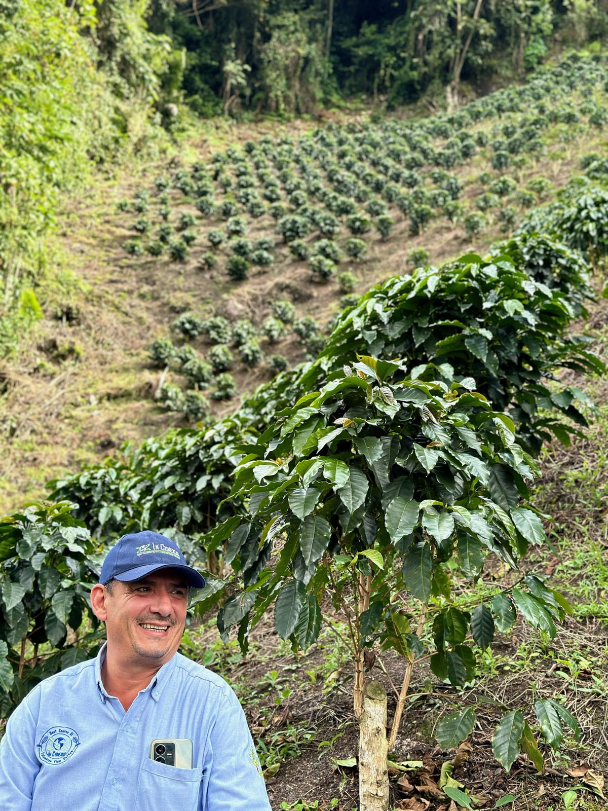 El Chaferote | Pink Bourbon