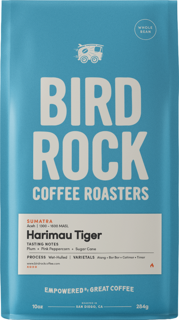 Sumatra Tiger
