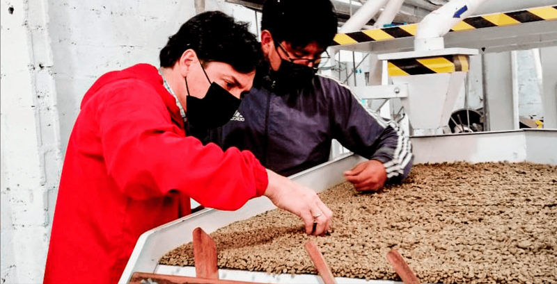 Two people inspecting a large container filled with coffee, wearing protective gear.