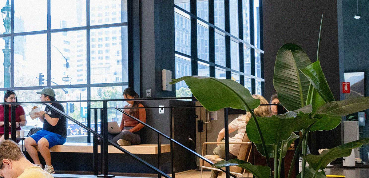 Bird Rock Coffee Roasters, photo 2
