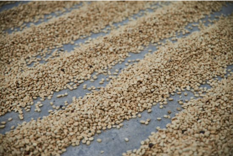 Chiapas Decaf