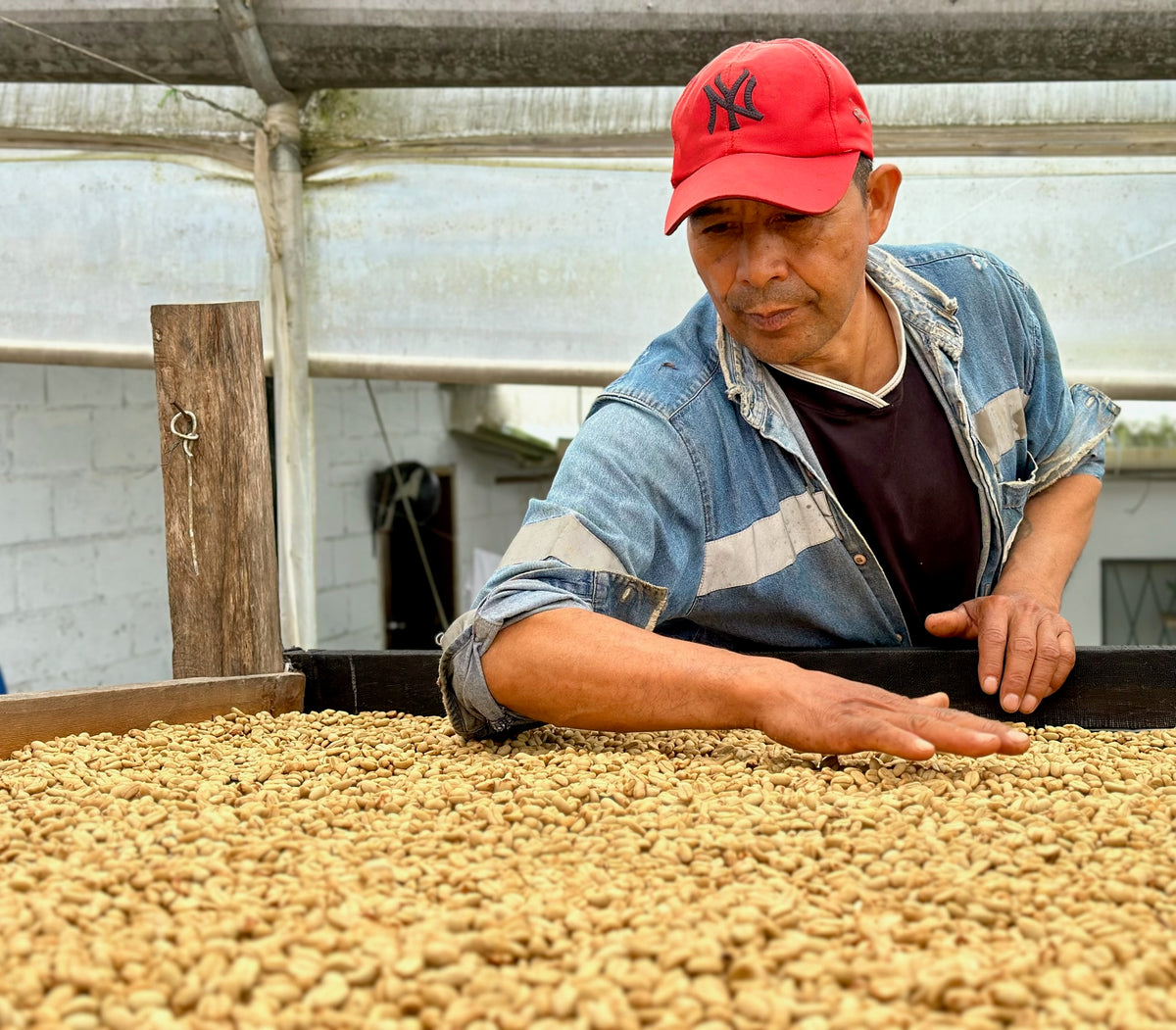 Finca La Carolina