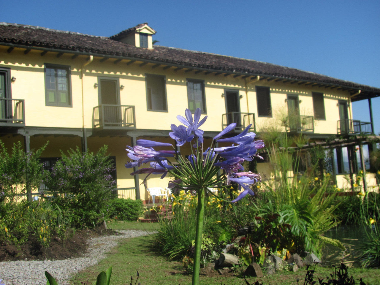 Villa Loyola