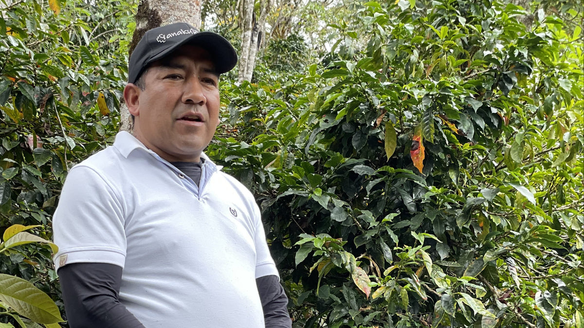 A man standing outdoors in a forest or plantation setting, wearing a white short-sleeve polo shirt over a black long-sleeve undershirt, dark gray pants, and a black cap.
