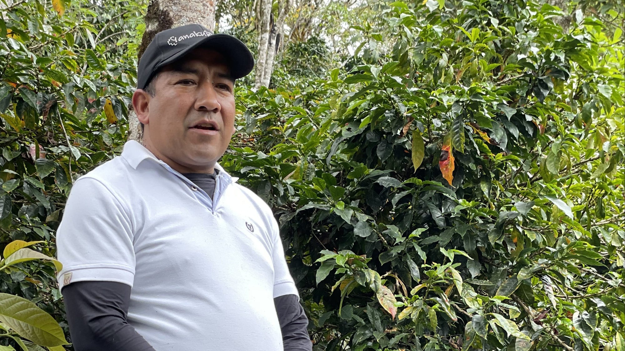A man standing outdoors in a forest or plantation setting, wearing a white short-sleeve polo shirt over a black long-sleeve undershirt, dark gray pants, and a black cap.