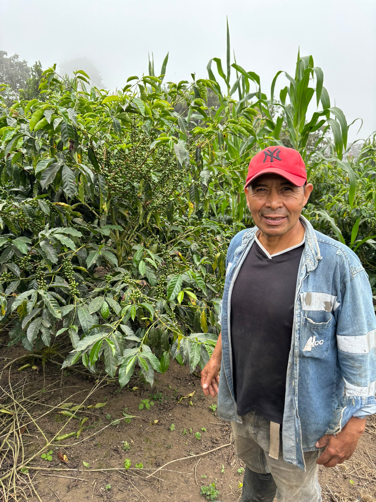 Finca La Carolina