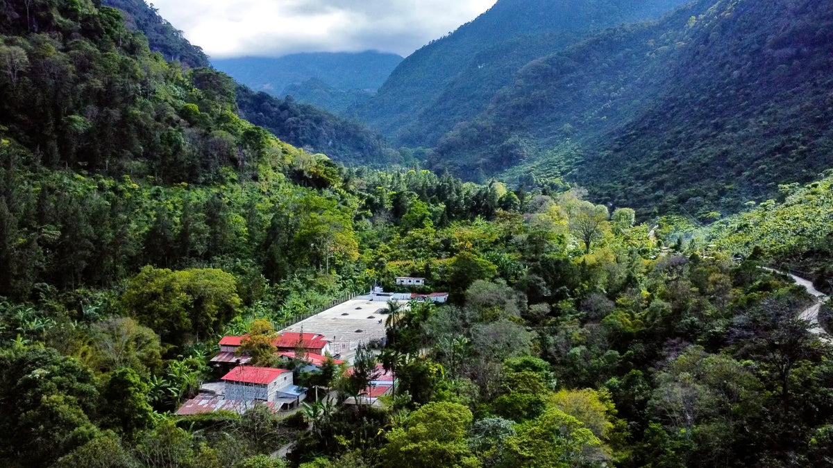 Green mountain valley in Huehuetenango, Guatemala, with the Las Terrazas farm buildings below