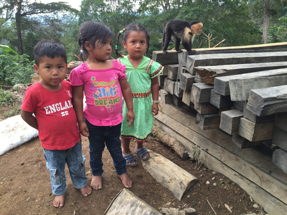 Three young children standing by a stack of lumber at Finca Auromar while a white-faced capuchin monkey sits on the pile