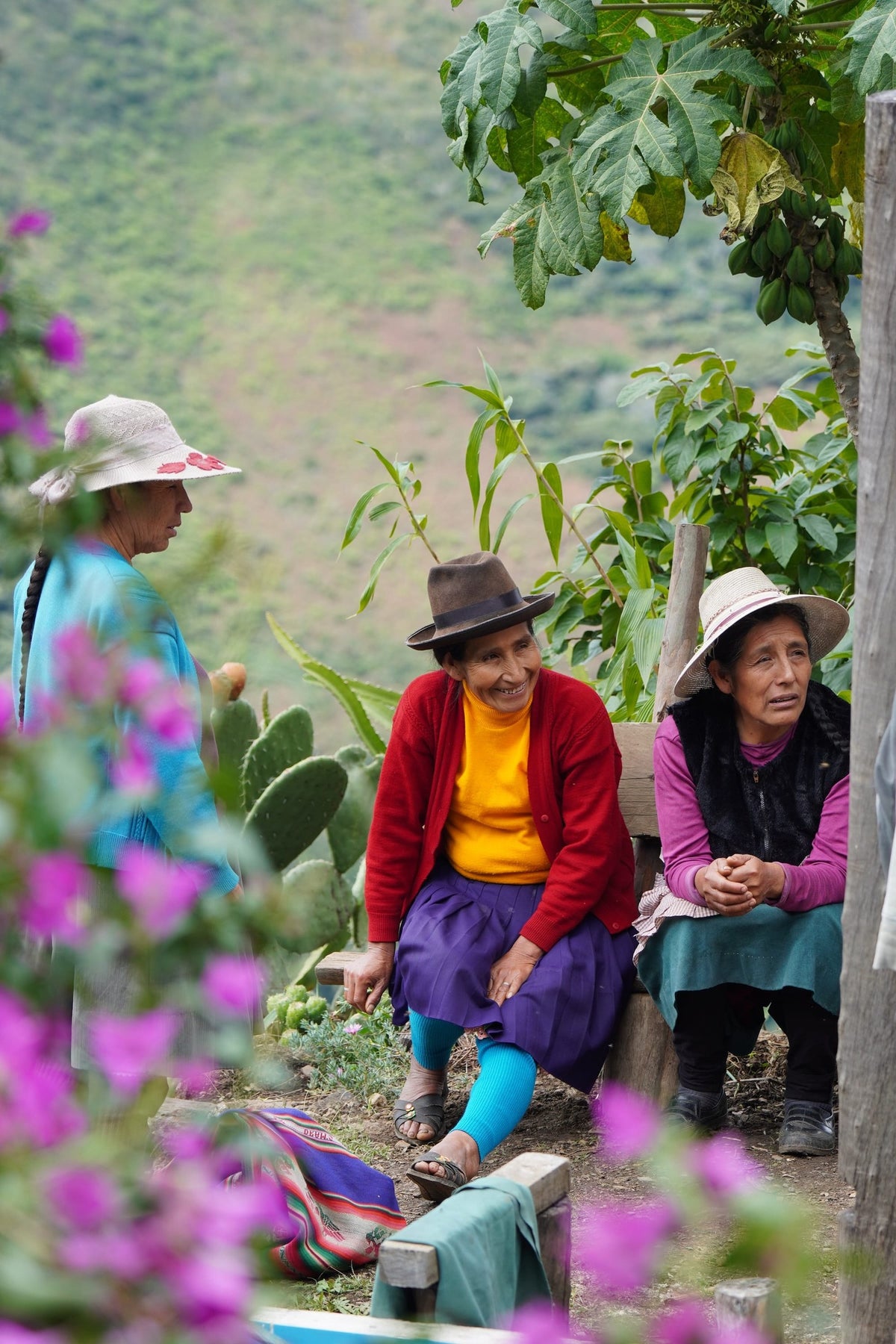 Women in traditional Andean hats and bright skirts chatting on a hillside among pink flowers