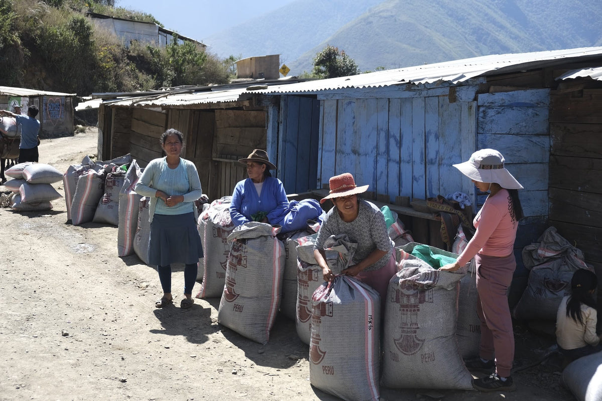Women in hats with large coffee sacks on a dirt street lined with tin-roofed buildings