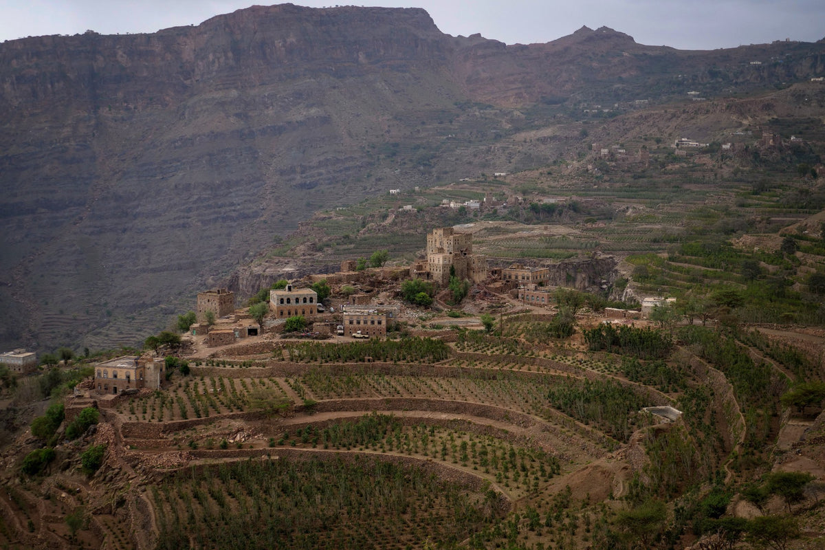 Stone tower village on a ridge above terraced coffee slopes in the Yemeni highlands