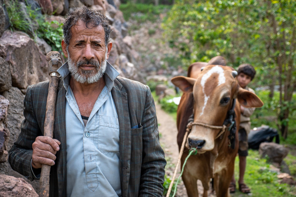 Farmer with a walking stick on a stony path beside a cow, with a boy behind it